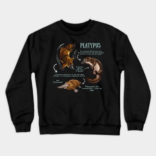 Animal Facts - Platypus Crewneck Sweatshirt
